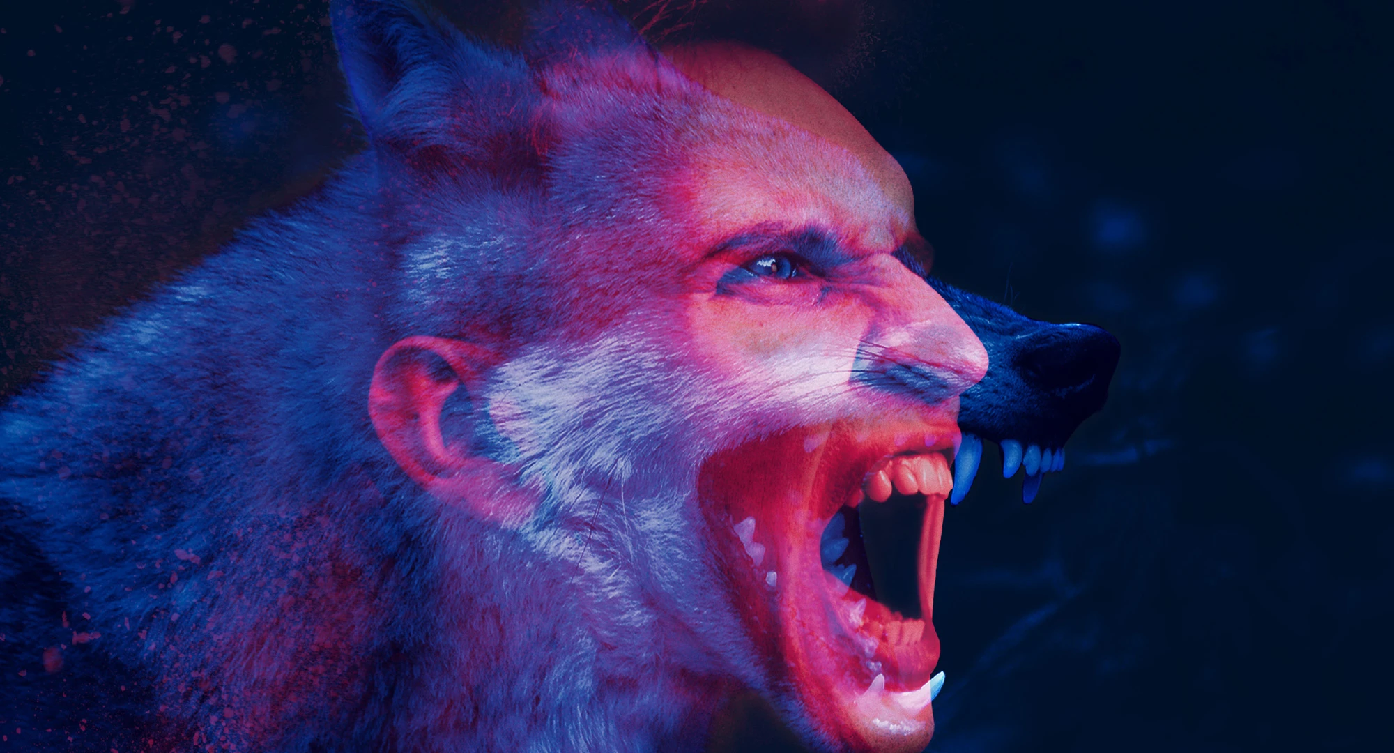 lupi piacenza volley-gas sales vittoria comunica